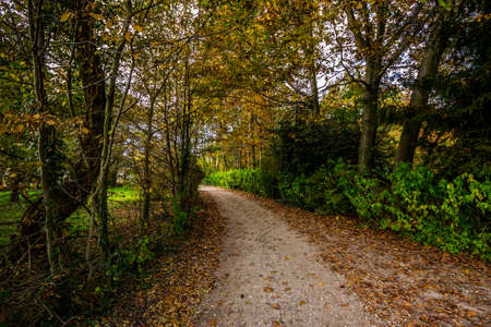 Photo of a road in countryside