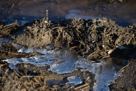 Frozen Ground with Ice and Mud During Winter Season