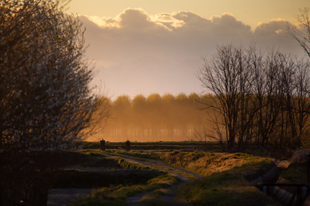 Idyllic Sunrise Over Rural Landscape with Trees and Dirt Pathway