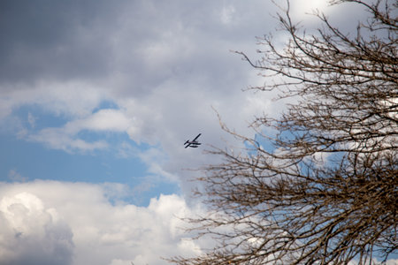 Airplane Flying in a Cloudy Sky with Distant Tree Branchesの写真素材