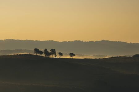 Some trees over the hill surrounded by morning mist and under a golden hour color skyの写真素材