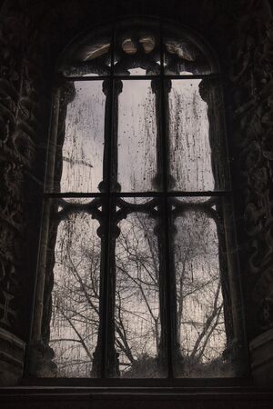 Old tall and dirty window and a bird and some trees behind the glass in the background in Jeronimos...