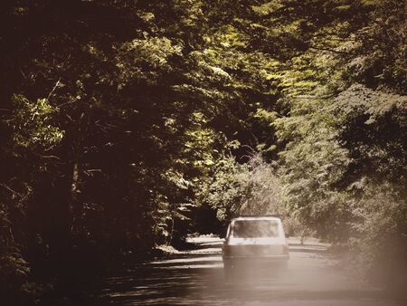 Classic old car going away in a sandy path among trees in a forest in Argentinaの写真素材