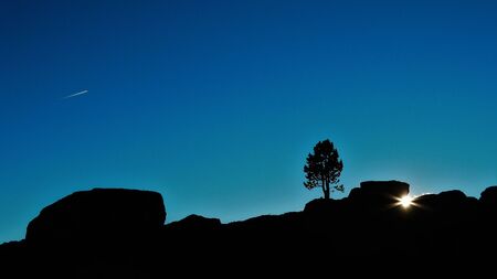 Landscape showing the silhouette of a lonely tree over a mountain and the sun under a blue and clear skyの写真素材