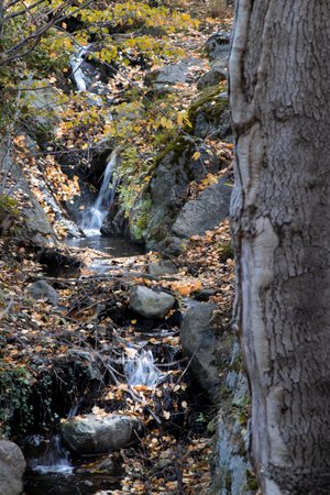 River in Boi Valley in Catalonian pyrenees