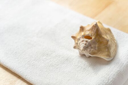 Huge natural seashell on white towel on a wooden background