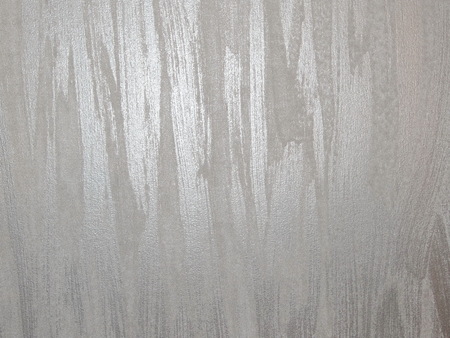 white backgroundの写真素材
