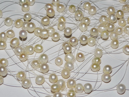 pearlsの写真素材