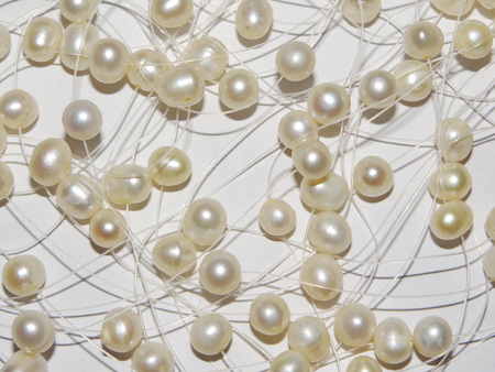 pearlsの写真素材