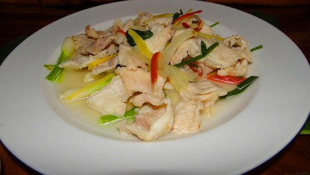 ragout of crocodileの写真素材