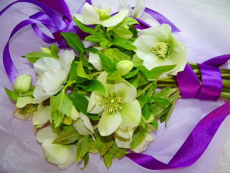 flowersの写真素材