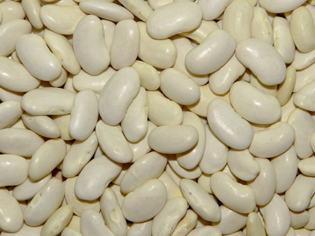 beansの写真素材