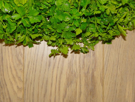 parsleyの写真素材