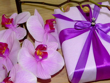 gift and Orchidの写真素材