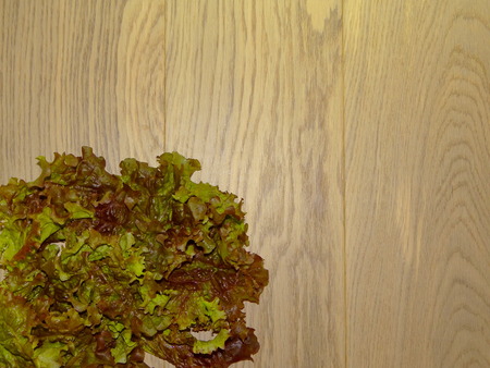 green saladの写真素材