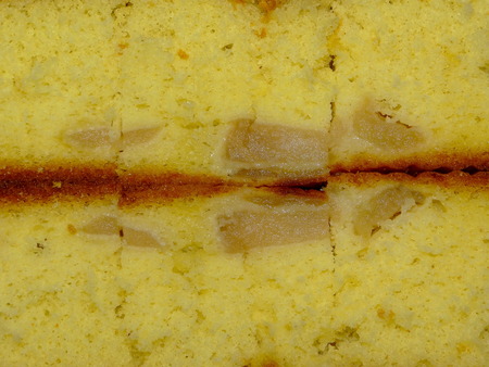 cake with applesの写真素材