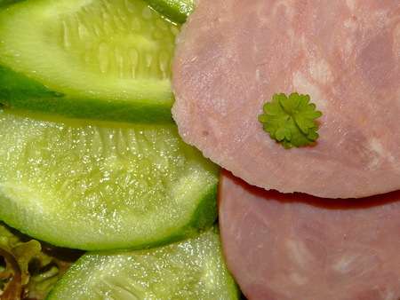 sausage with vegetablesの写真素材