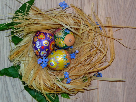 eggs for Easterの写真素材