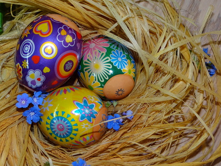 eggs for Easterの写真素材