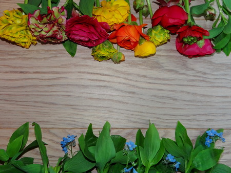 flowers peoniesの写真素材