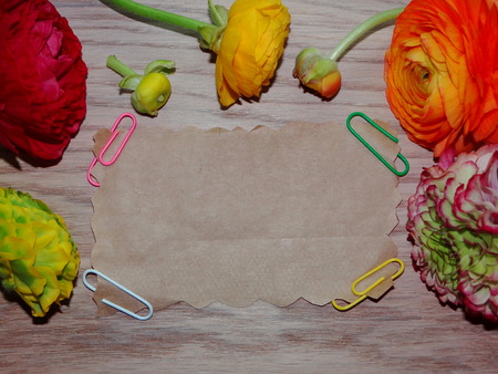 paper for labelsの写真素材