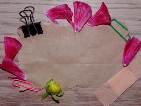 paper for labelsの写真素材