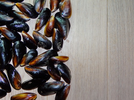 mussels