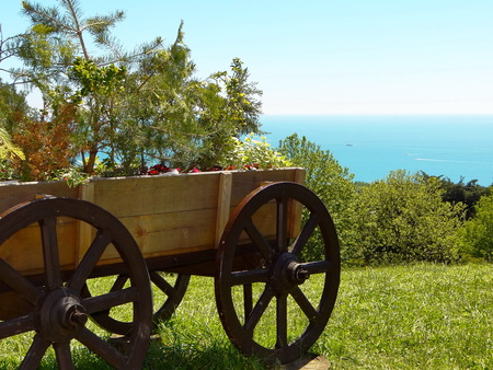 sea ??view Sochi