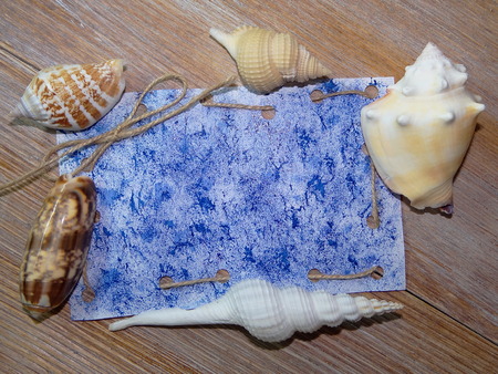 paper for labels and shellの写真素材