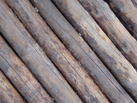 wood logsの写真素材