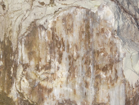 stone textureの写真素材
