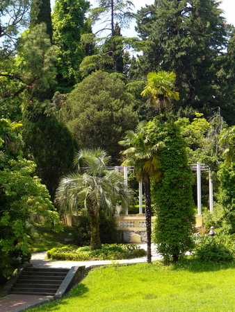 gazebo in the Park, Sochiの写真素材