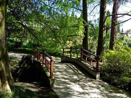 the bridge in the Park, Sochiの写真素材