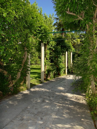 path in the Park, Sochiの写真素材