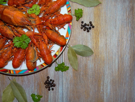 boiled crayfishの写真素材