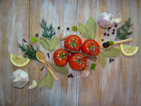 tomatoes and spicesの写真素材