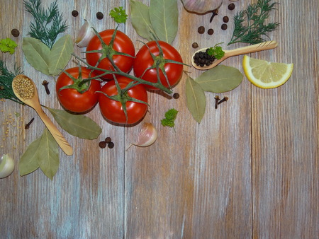 tomatoes and spicesの写真素材