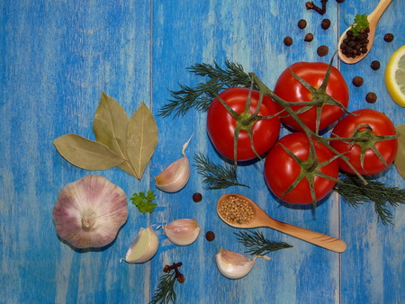tomatoes and spicesの写真素材