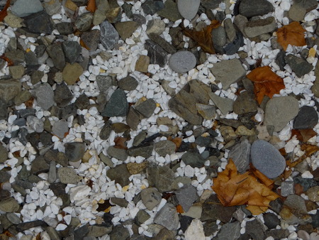 stones with autumn leavesの写真素材