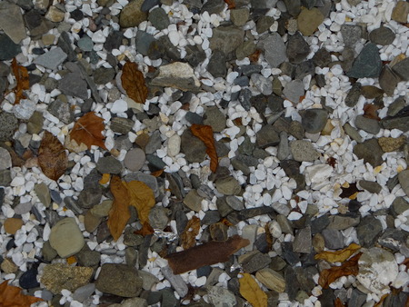 stones with autumn leavesの写真素材