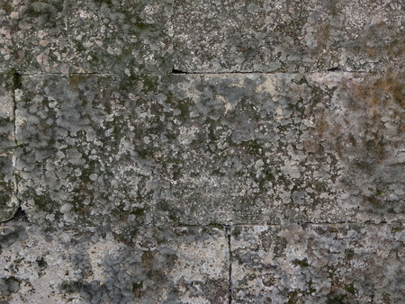 old stone wallの写真素材
