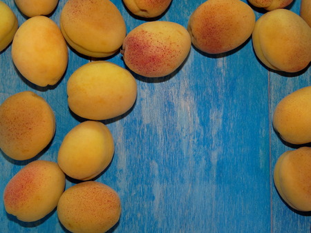 apricots on blue wooden boardsの写真素材