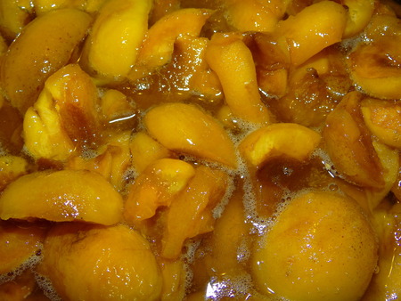 apricots in sugar syrupの写真素材
