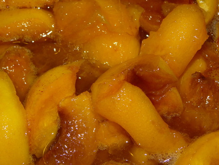 apricots in sugar syrupの写真素材