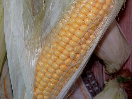 corn on the cobの写真素材