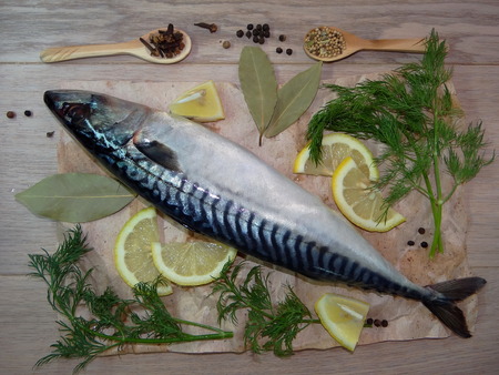mackerel with spicesの写真素材