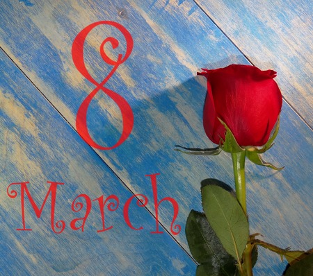 march 8の写真素材