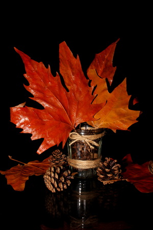 autumn leavesの写真素材