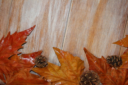 autumn leavesの写真素材