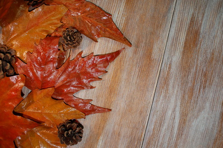 autumn leavesの写真素材